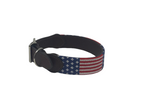 American Flag Stars and Stripes Needlepoint Dog Collar